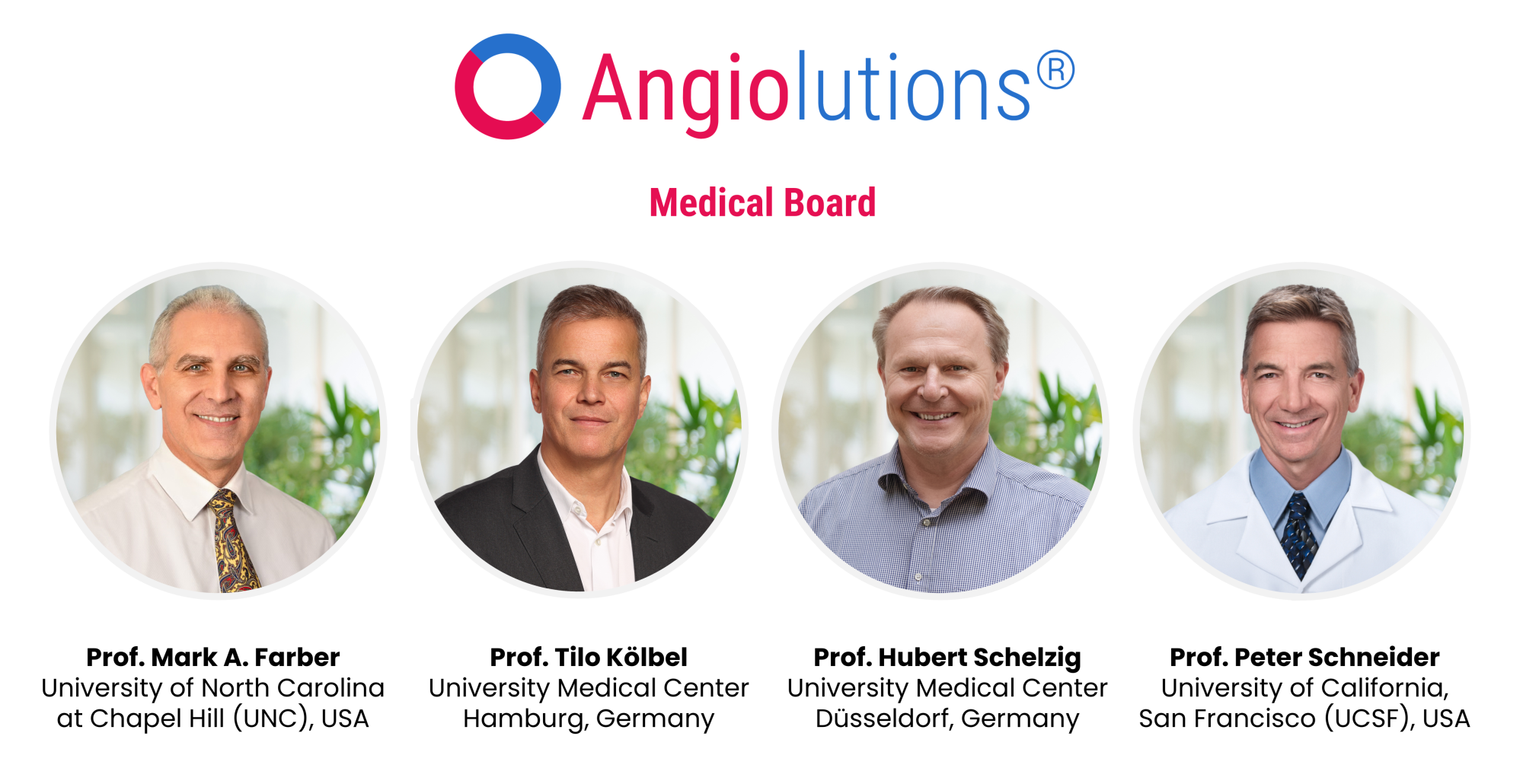 Angiolutions medical board 